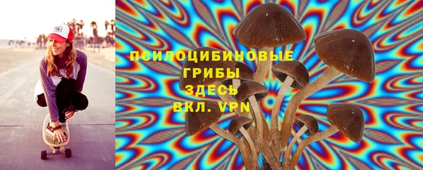 ешки Беломорск