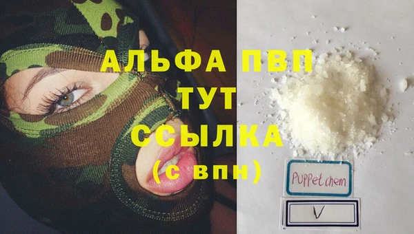 амф Белокуриха