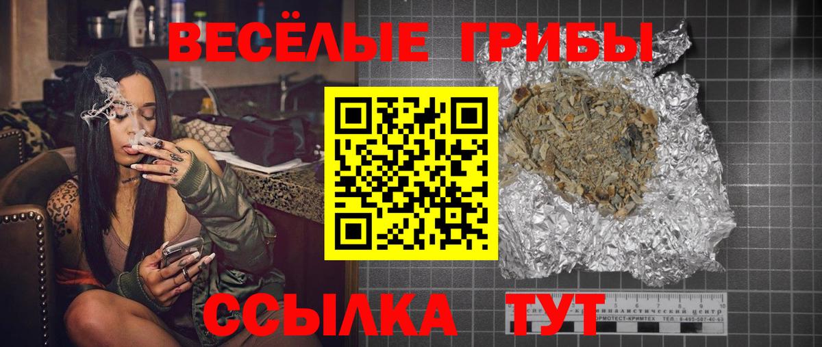 где можно купить наркотик  Псилоцибиновые грибы ЛСД  Вход с VPN  Черняховск 