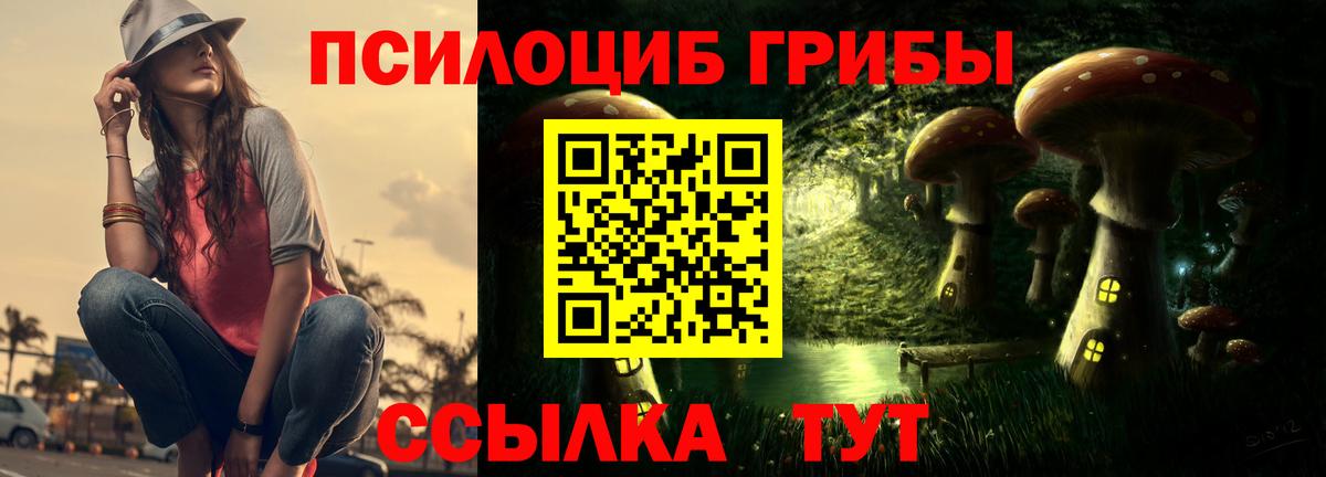 Псилоцибиновые грибы мицелий  Вход с VPN  Черняховск 