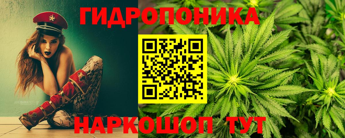 Бошки марихуана марихуана  Бошки Шишки AK-47  Вход с VPN  Черняховск 